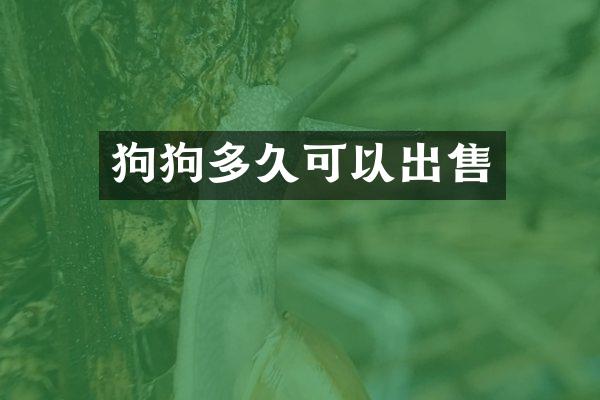 狗狗多久可以出售