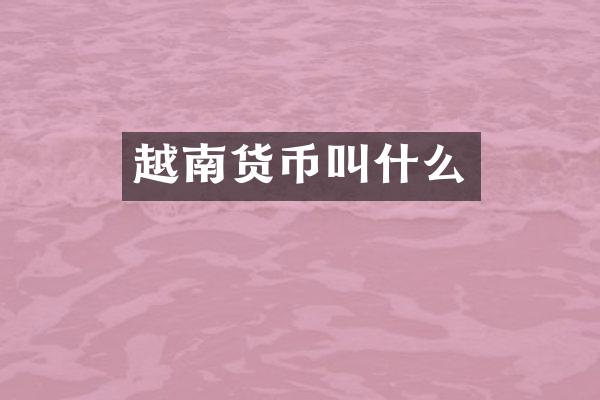 越南货币叫什么