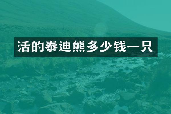 活的泰迪熊多少钱一只