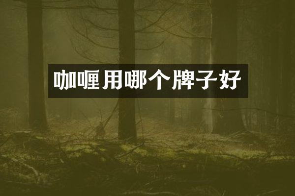 咖喱用哪个牌子好