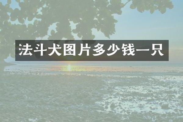 法斗犬图片多少钱一只