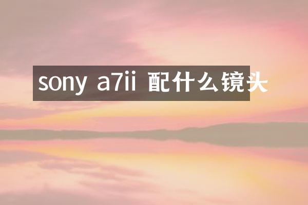 sony a7ii 镜头