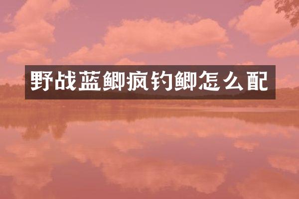 野战蓝鲫疯钓鲫怎么配