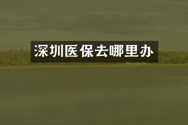 深圳医保去哪里办
