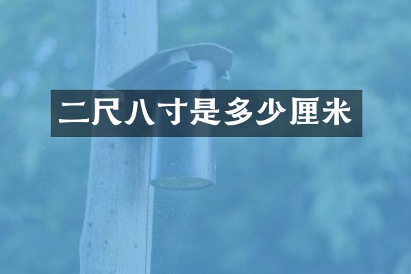 二尺八寸是多少厘米