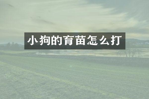 小狗的育苗怎么打