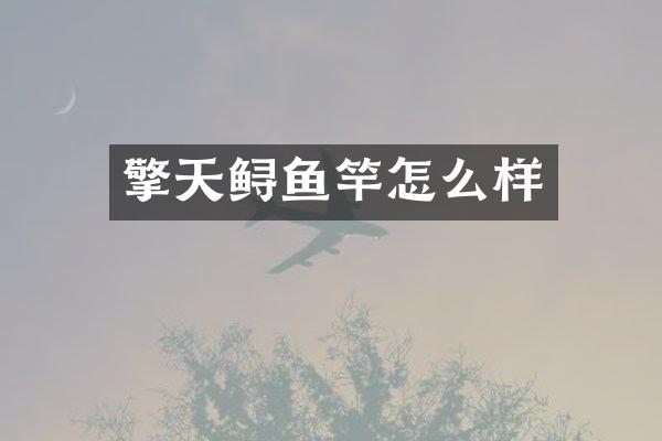 擎天鲟鱼竿怎么样