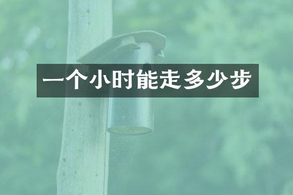一个小时能走多少步