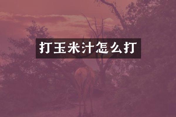 打玉米汁怎么打