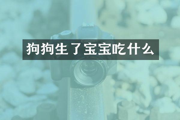 狗狗生了宝宝吃什么