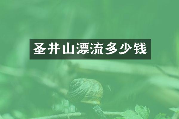 圣井山漂流多少钱