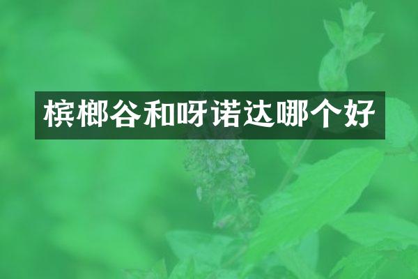 槟榔谷和呀诺达哪个好