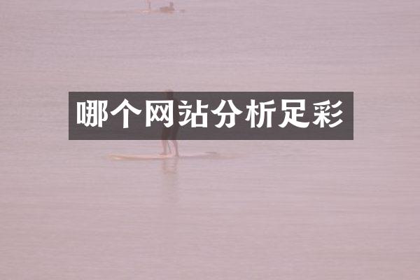 哪个网站分析足彩