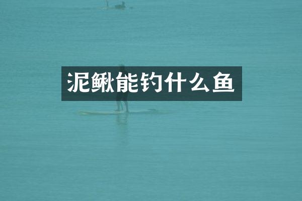 泥鳅能钓什么鱼