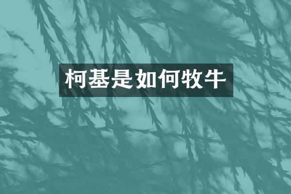 柯基是如何牧牛