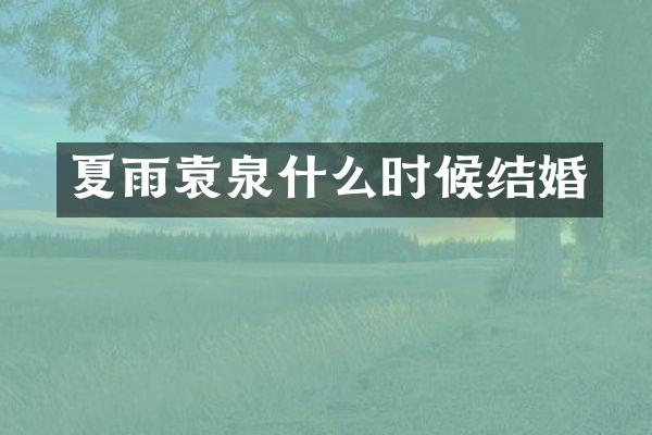 夏雨袁泉什么时候结婚