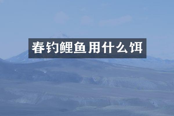 春钓鲤鱼用什么饵