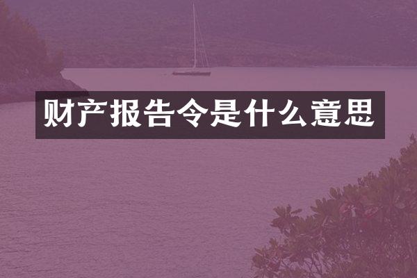 财产报告令是什么意思