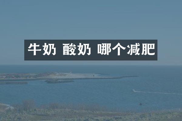 牛奶 酸奶 哪个减肥