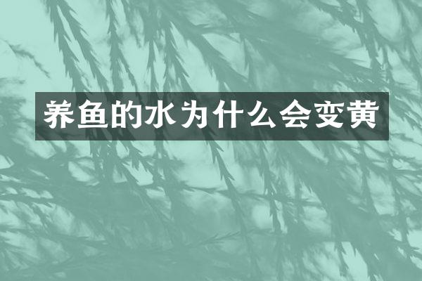 养鱼的水为什么会变黄
