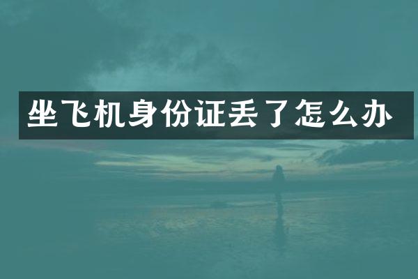 坐飞机身份证丢了怎么办