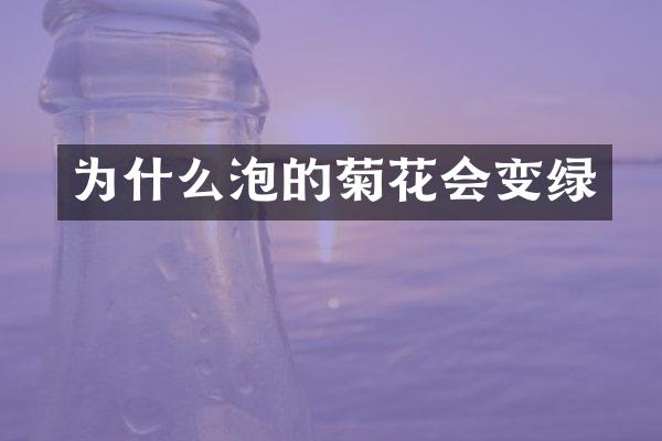 为什么泡的菊花会变绿