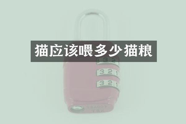 猫应该喂多少猫粮