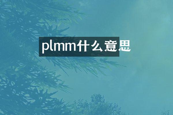plmm什么意思