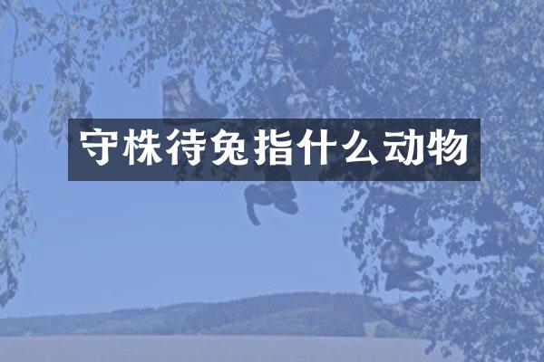 守株待兔指什么动物