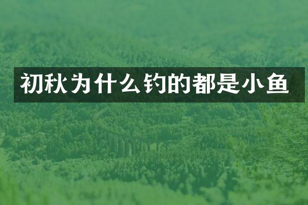 初秋为什么钓的都是小鱼