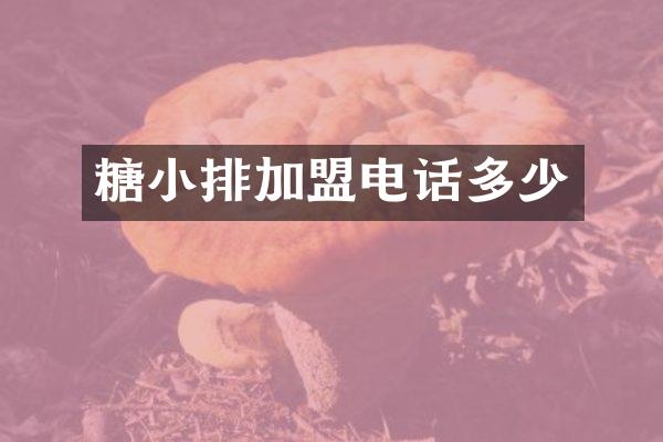 糖小排加盟电话多少