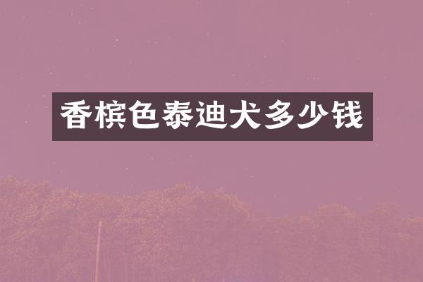 香槟色泰迪犬多少钱