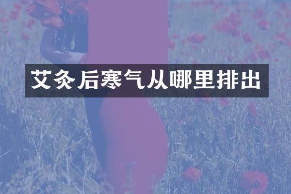 艾灸后寒气从哪里排出