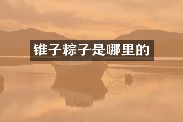 锥子粽子是哪里的