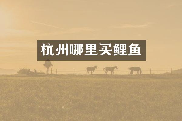 杭州哪里买鲤鱼