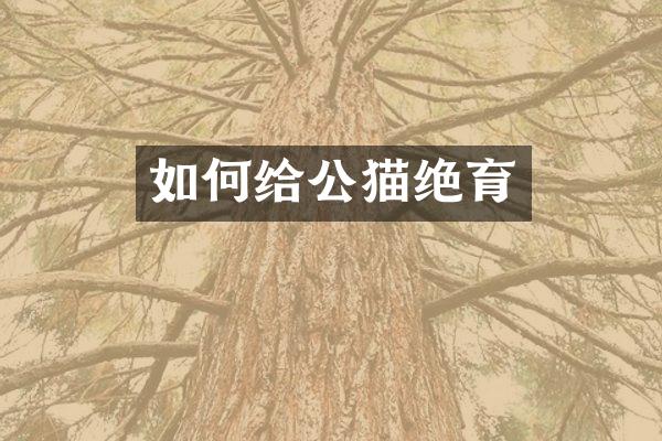 如何给公猫绝育