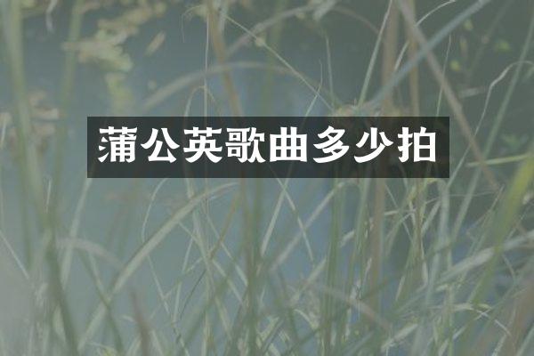 蒲公英歌曲多少拍