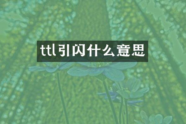 ttl引闪什么意思