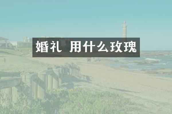 婚礼 用什么玫瑰