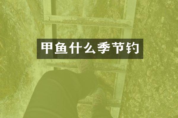 甲鱼什么季节钓