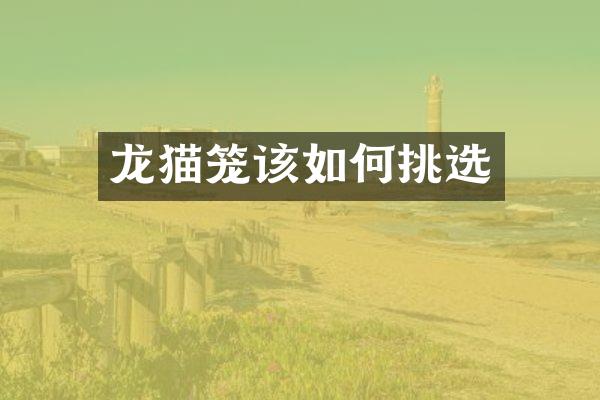 龙猫笼该如何挑选