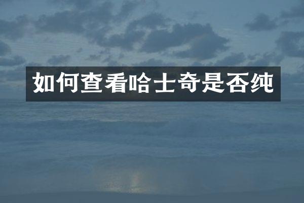 如何查看哈士奇是否纯