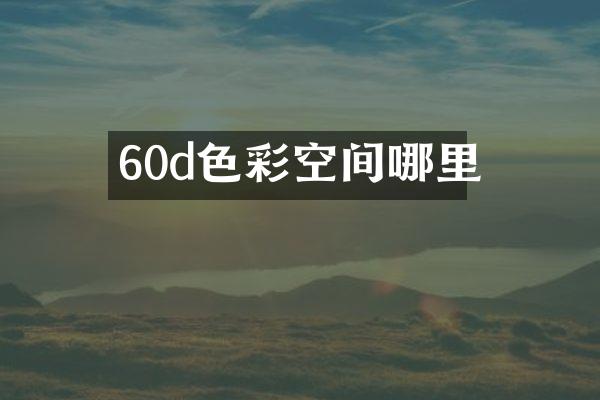 60d色彩空间哪里