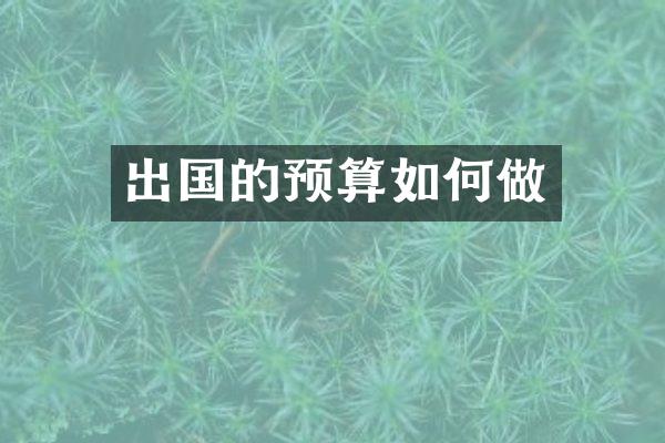 出国的预算如何做
