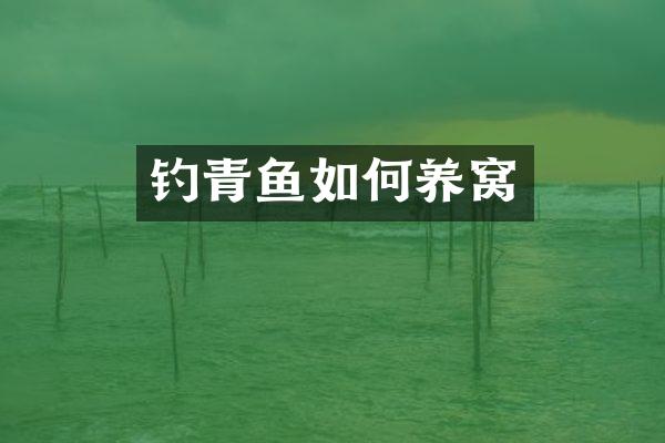 钓青鱼如何养窝
