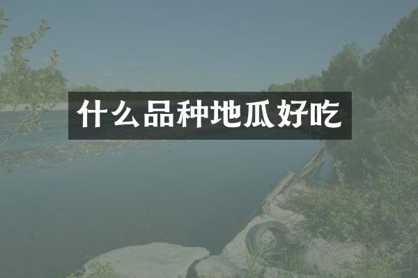 什么品种地瓜好吃