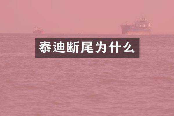 泰迪断尾为什么