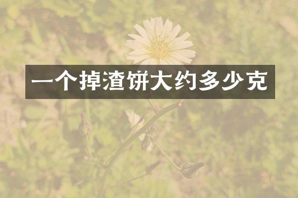 一个掉渣饼大约多少克