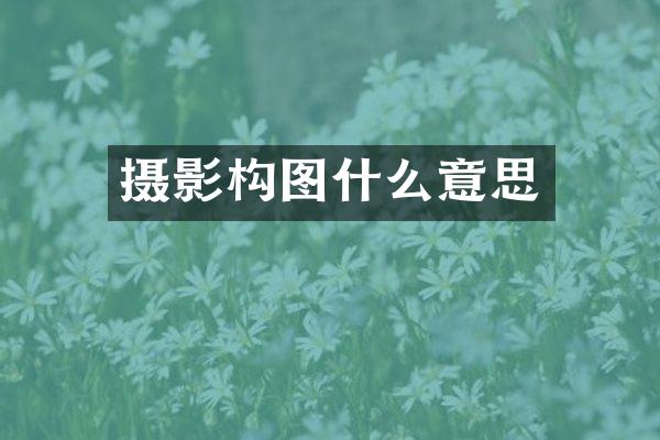 摄影构图什么意思