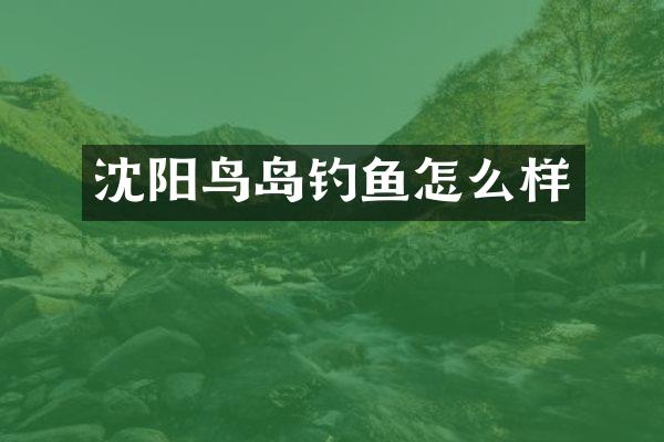 沈阳鸟岛钓鱼怎么样